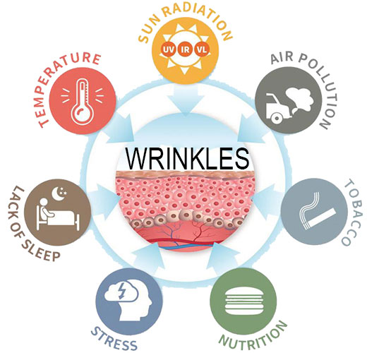 Factores externos arrugas